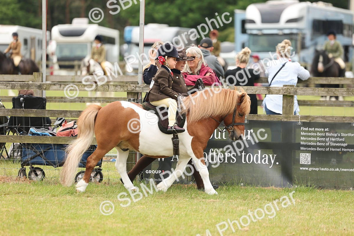 SBM_06659 - Class 74-75 - M&M Lead Rein and First Ridden Pony