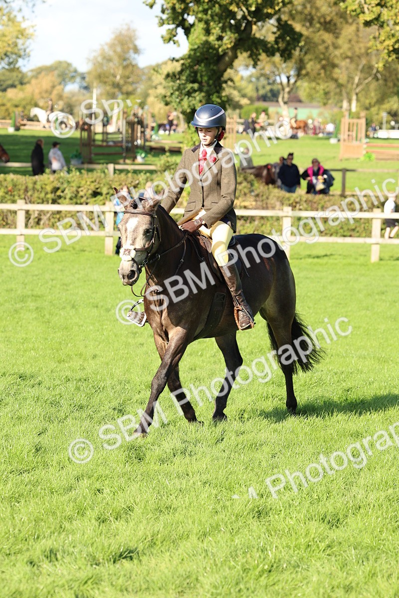 SBM_50107 - S34 - Novice & Newcomers Working Hunter