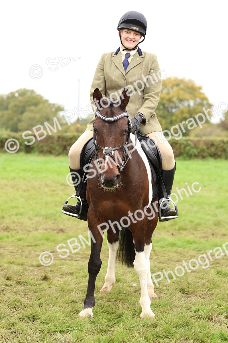 SBM_59927 - S36 - Rehabiliated Rescue Horse & Pony In Hand & Ridden