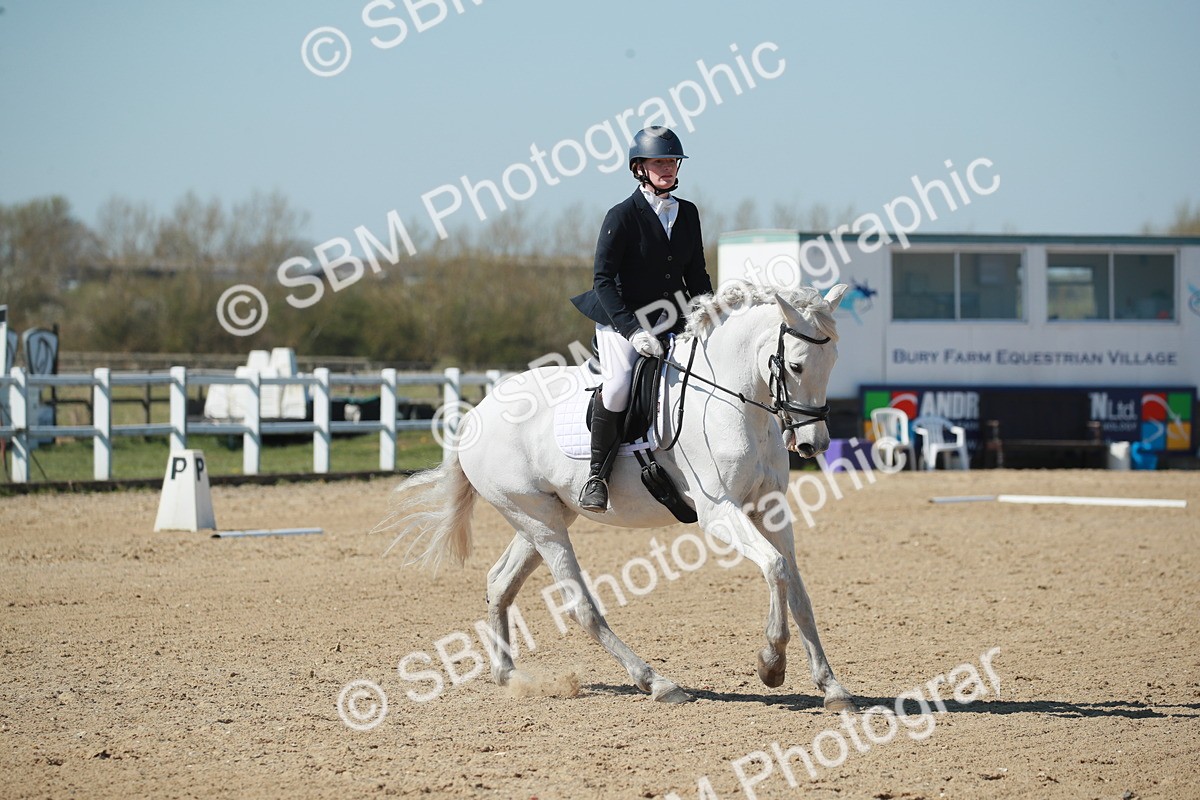 SJ3_0975 - Class 2-5-4-6-7 - Paso Doble-Golega-Sevilla-Lisboa-Novato