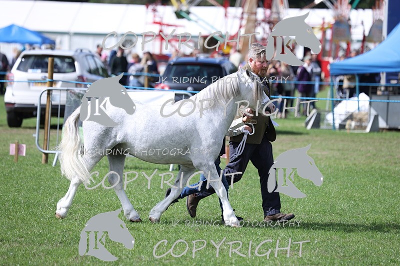 APP_3006 - Class 10a/b M&M in hand