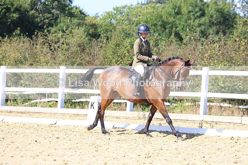3E7A5697 - Class 10: Riding Horse