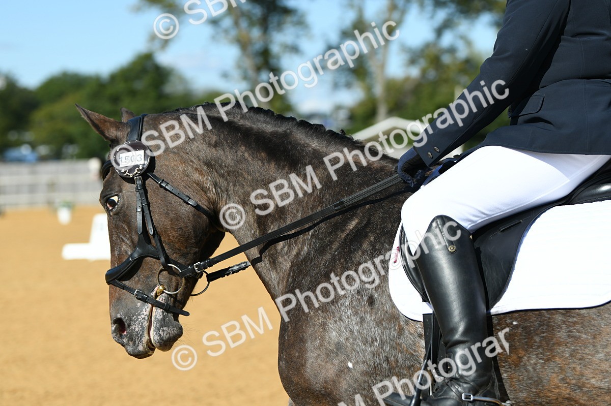 SBM_24826 - D13 - Grand Tour Championship - Prelim 12