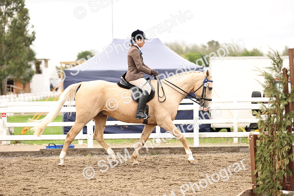 SBM_01332 - Class 54 - Riding Club Horse Pony