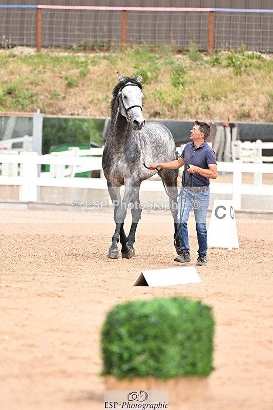 250716-153819-02070 - Trot Up 3.30 to 4.30