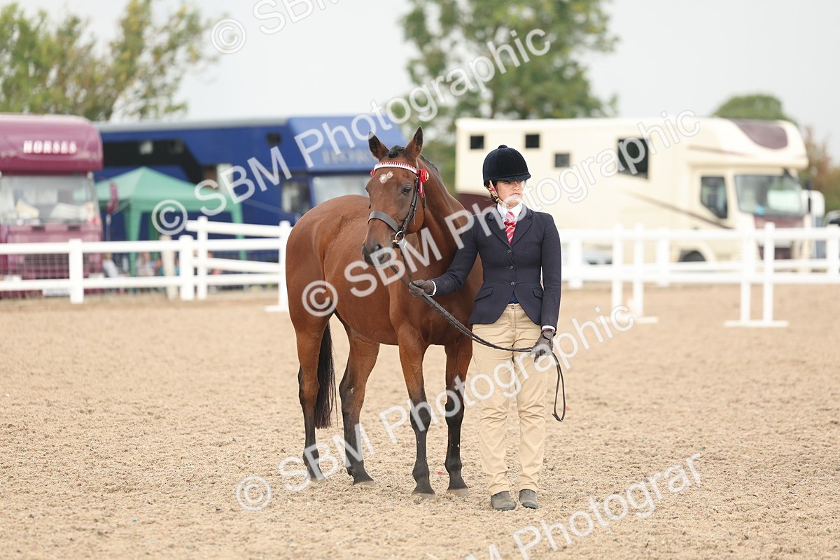 SBM_07650 - Class 26 - IH Foreign Breeds - Part Bred