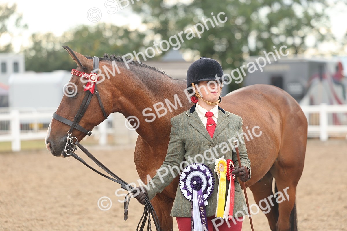 SBM_07844 - Class 27 - IH Competition Horse/Pony
