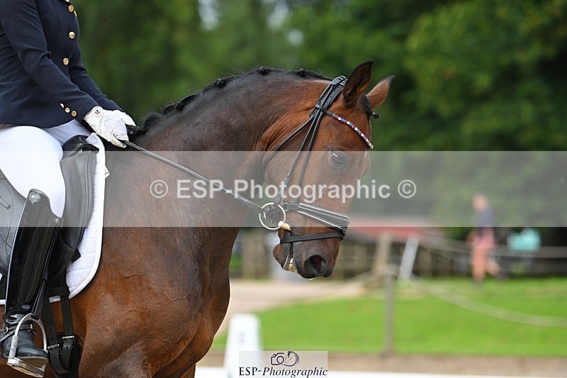 230813-103606-06365 - Cls 12 Elem Silver 10.35 to End