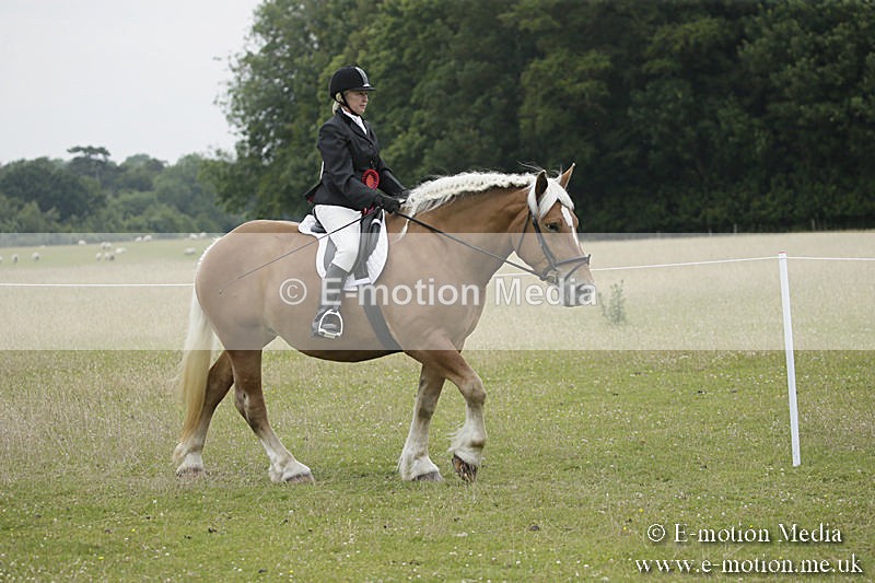 B230619-0918 - Bourne Valley Riding Club Summer Show 23/06/19
