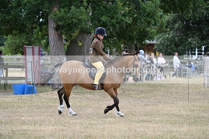 WJ7_7377 - Class 2 Best Rider