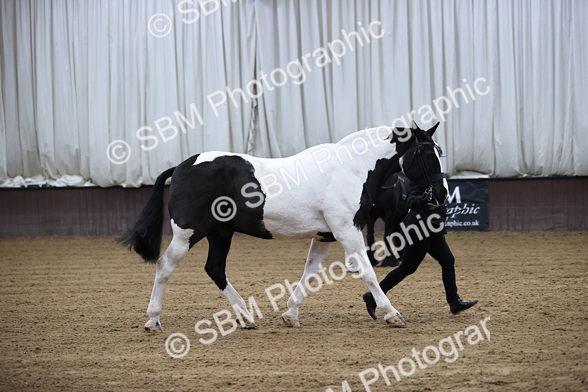 SBM_5277 - Class 32 - In Hand Cob Type