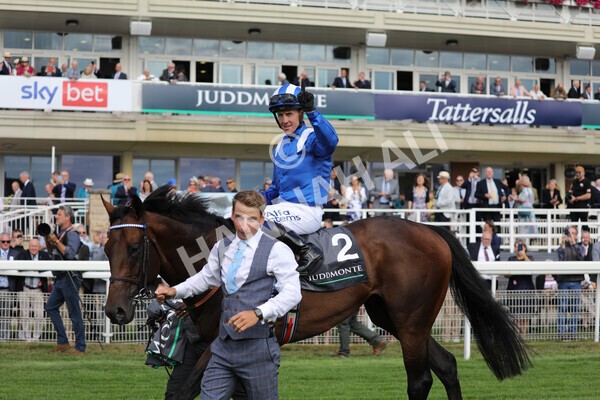 yr17082022r4-111 - Race 4 3.35pm Juddmonte International Stakes (British Champions Series Race)