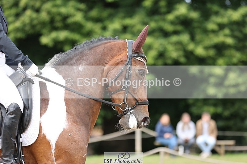 240721-114027-08398 - 236-Lorraine_Morris-Lissyegan_coloured_lady