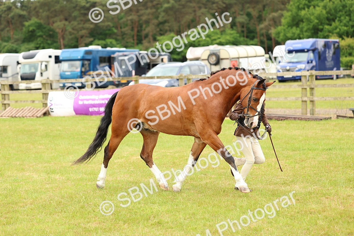 SBM_10257 - Class 44-45 - LIHS BSPS Open Nursery and Cradle Stakes
