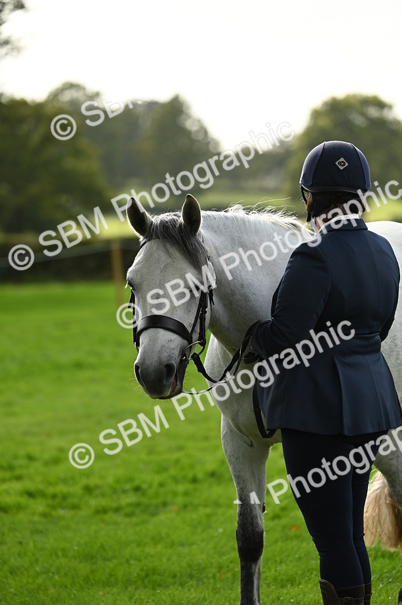 SBM_25041 - S5 - Novice & Newcomer In hand