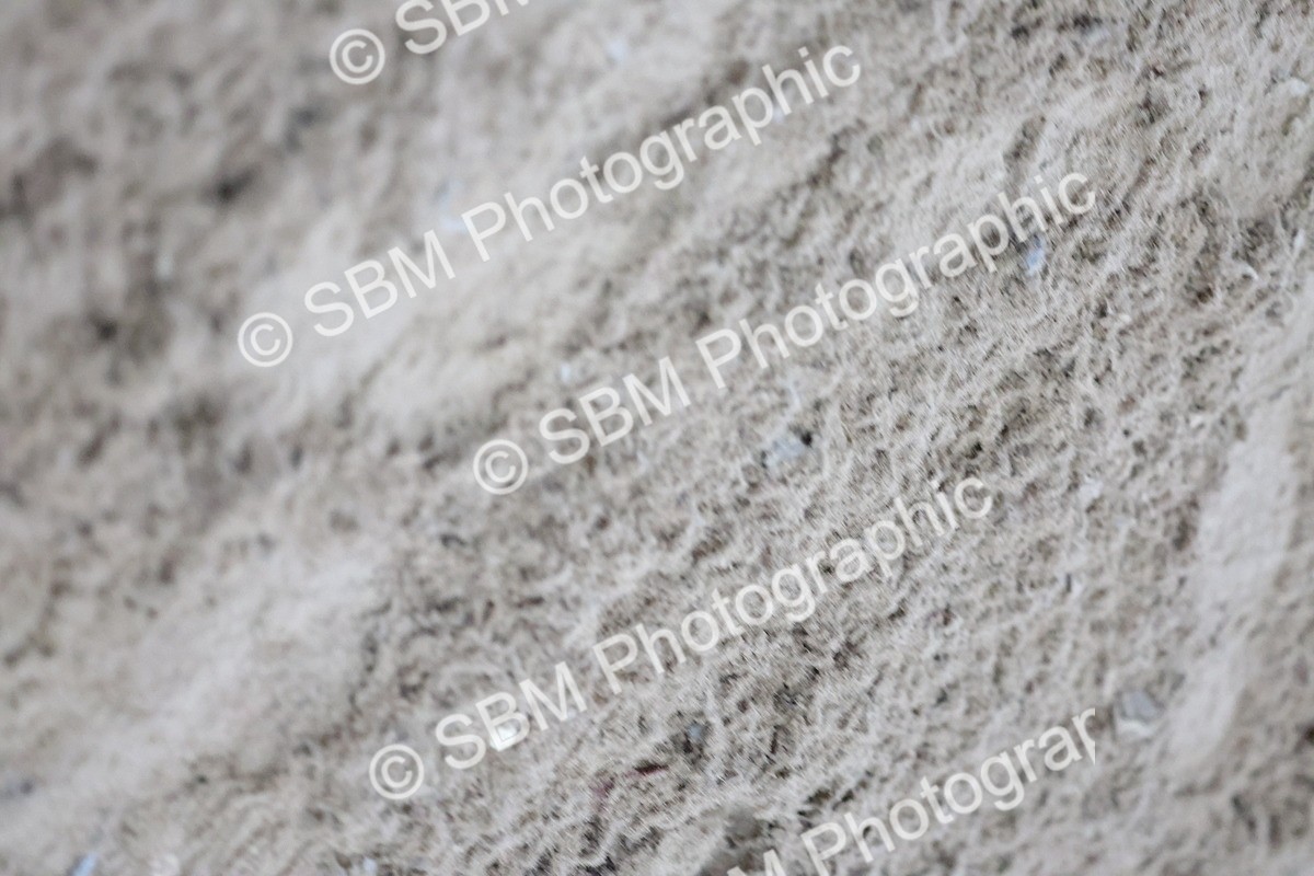 SBM_003939 - Class 10 - National B&C Handicap Championship Qualifier