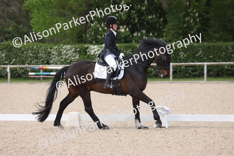 20260502-0863 - Class 7 - Novice 2