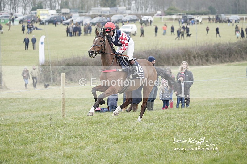 PtP 040323 430 - Duke of Beauforts Hunt Point-to-Point Didmarton 04/03/23