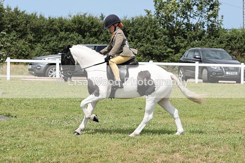 JPP_1962 - Class 18: Tiny Tots Working Hunter Pony