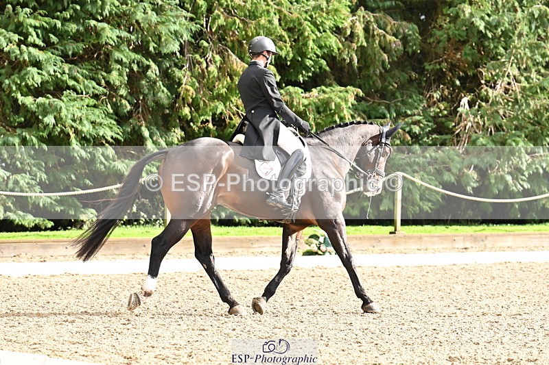 251023A-142858-05236 - C-247-Tom.Griffiths