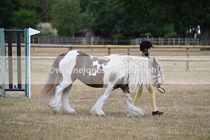 WJ6_7854 - Class 10 Coloured in Hand