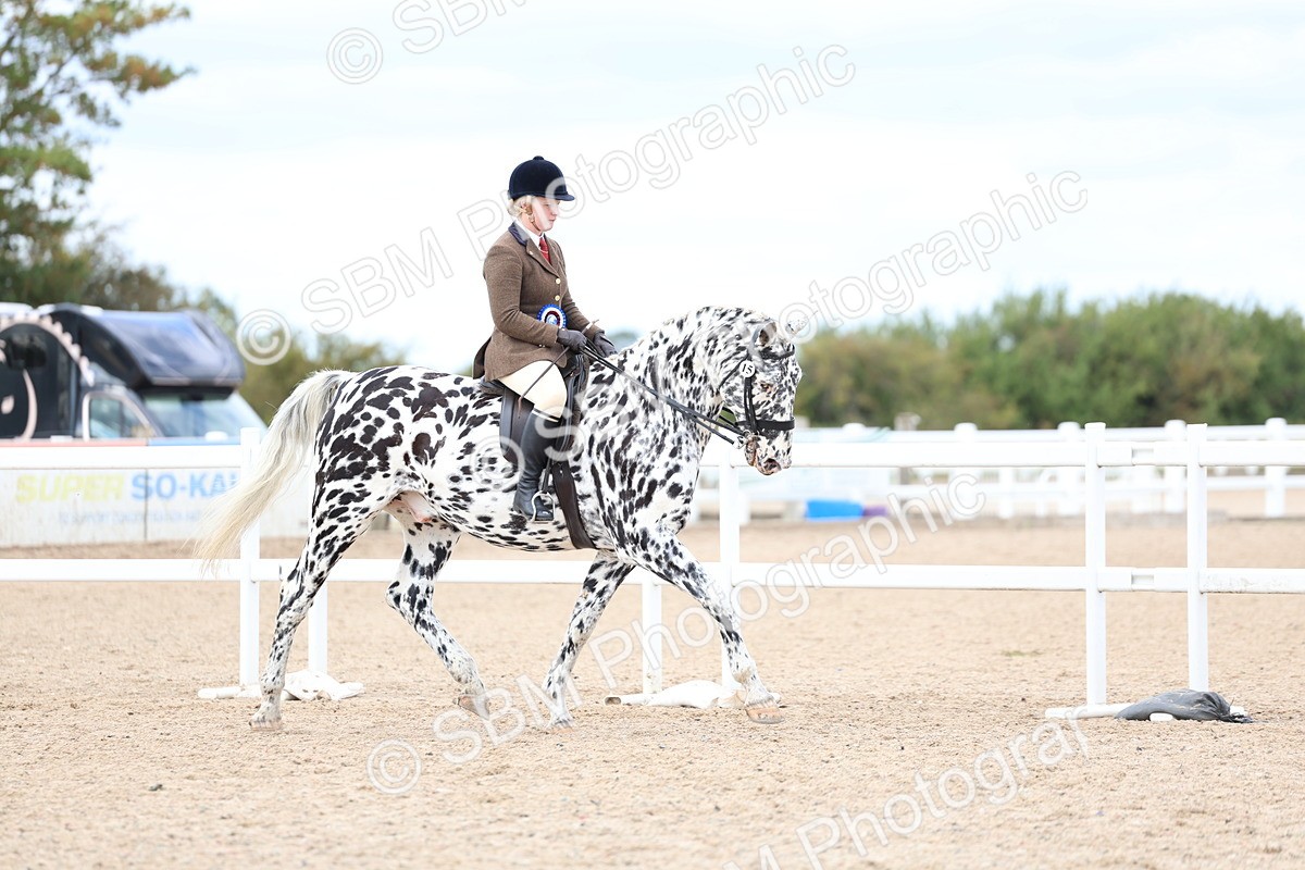SBM_17291 - Class 315 - Best Horse - Rider Combination