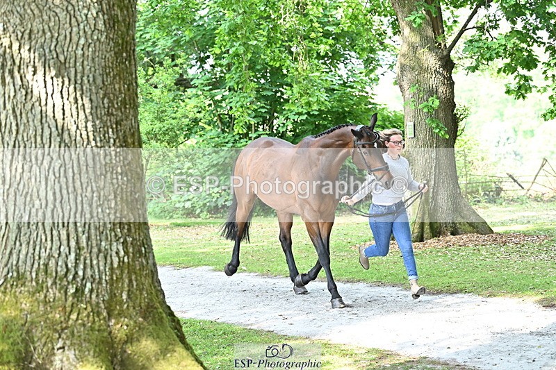 250521A-163550-01230 - C-225-Molly.Adams-QUINARA