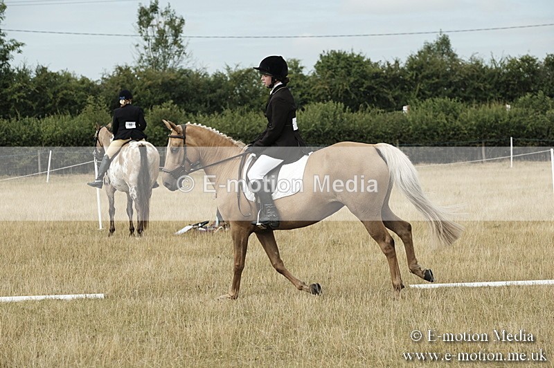 _PJP5738 - Dressage Classes BVRC Show 2018