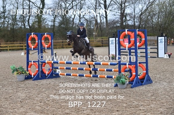 BPP_1227 - CLASS 4 Club/ Unaffiliated 80cms Open
