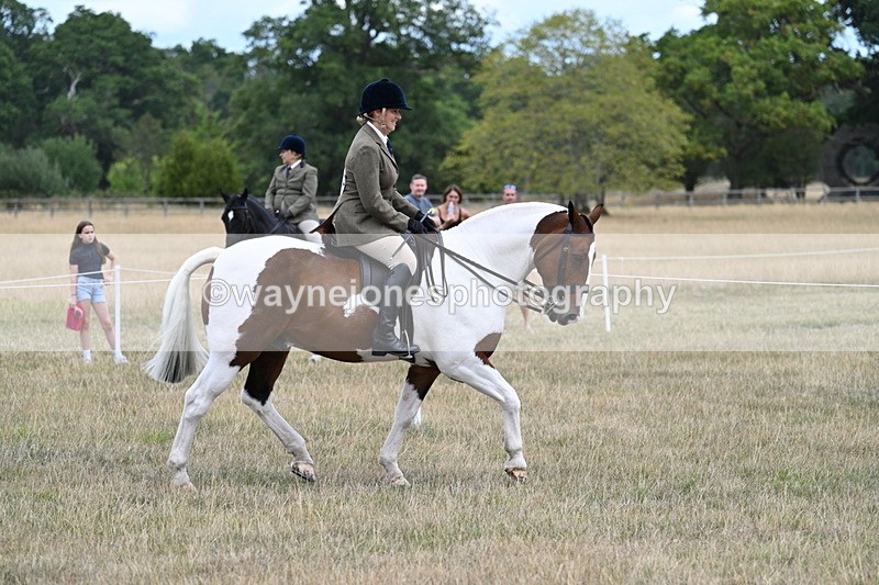 WJ7_4870 - Class 12 Ridden Cob