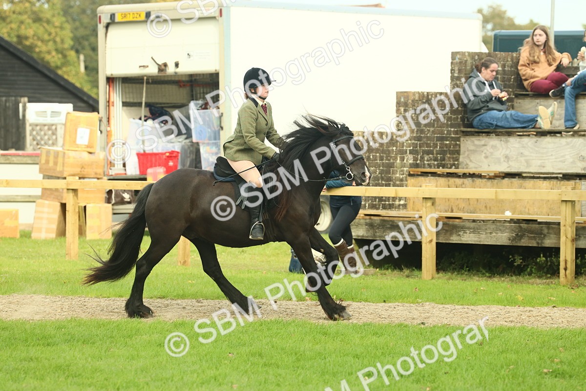 SBM_68216 - S58 - Mini Show Cob Ridden
