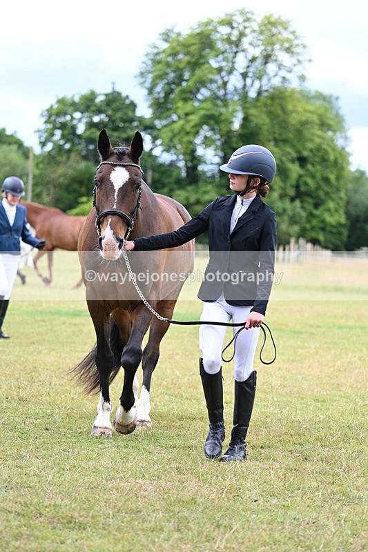 WJ7_6932 - Class 5a Most Handsome Gelding in Hand
