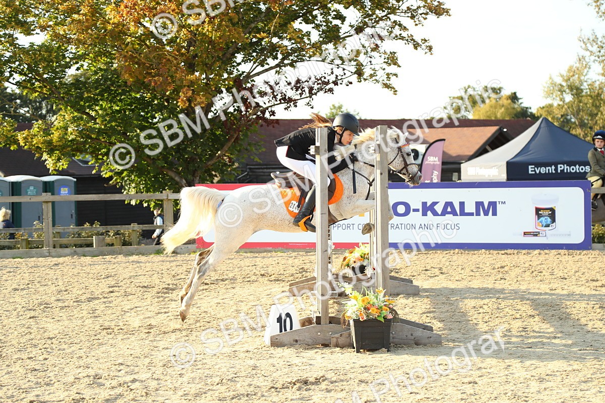 SBM_53804 - J8 - Junior Pony 65cm Championship