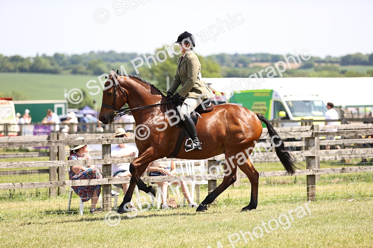SBM_15098 - Class 79-80 - LIHS BSHA Rising Star Ridden Hunter