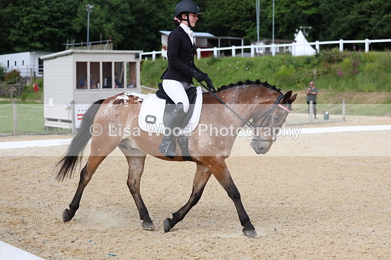 3E7A1444 - Class 2: Intro 2 2024 Section B