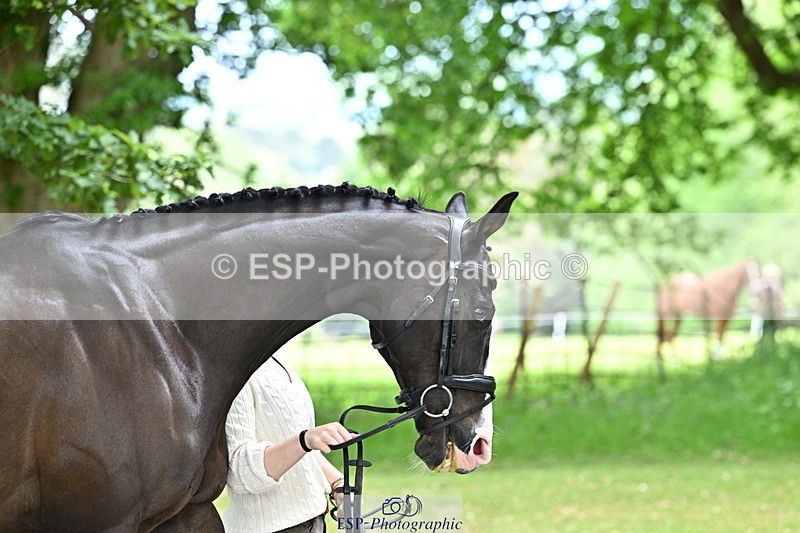 250521A-144732-00242 - A-060-Sophie.Wildern-CARTOON.HERO