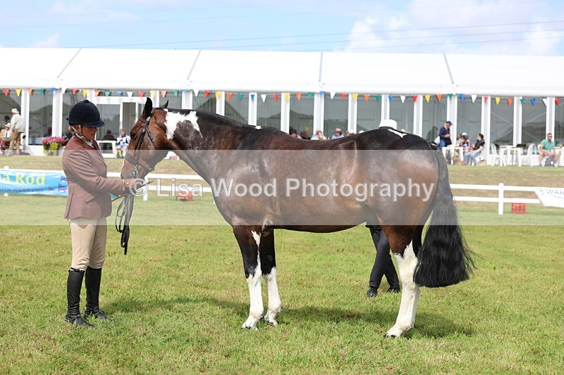 3E7A0090 - Class 5: Rising Star Lightweight/Heavyweight Cobs