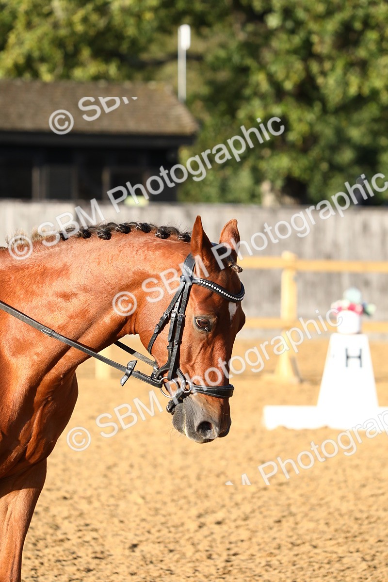 SBM_52790 - D23 - Junior Championship Prelim 1