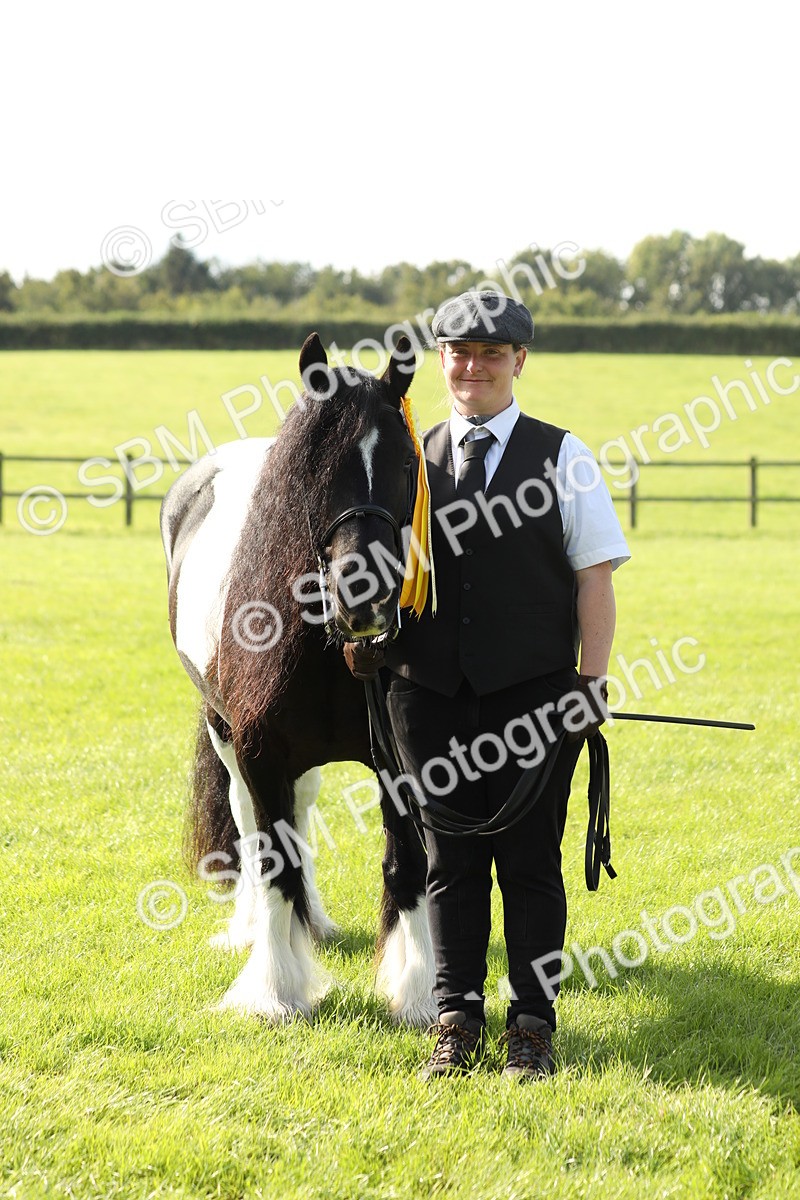 SBM_61009 - S43 - Coloured Pony In Hand
