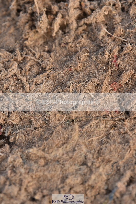 231101A-122726-00269 - Cls 4 Members 1.15m & Open