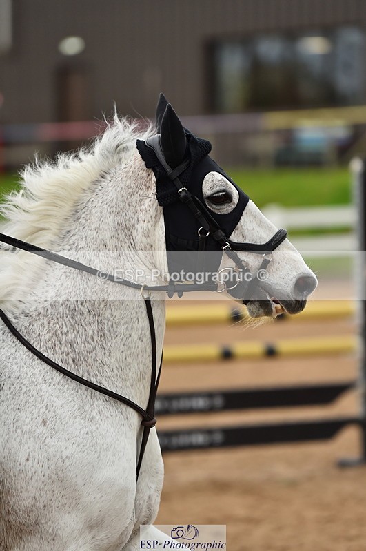 231028A-132844-01711 - Cls 4 Newcomers & 1m Open