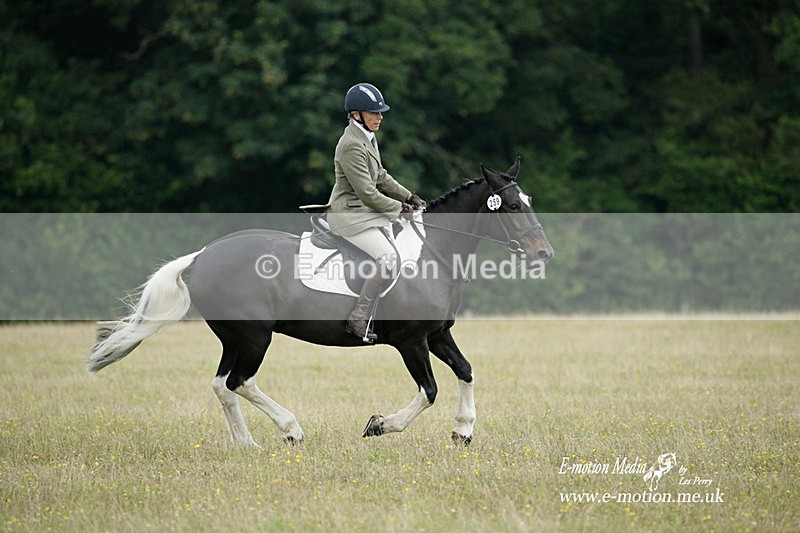 BVRC 030721 378 - Bourne Valley Riding Club Dressage 03/07/21