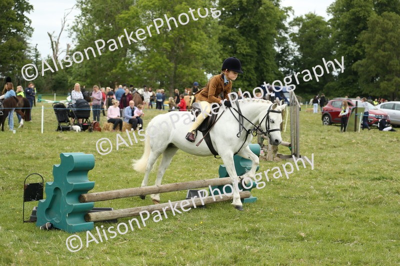 20250517-1097 - Class 21 - Novice Working Hunter
