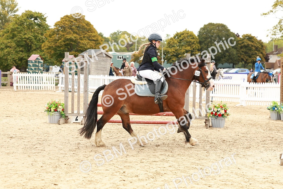 SBM_61849 - J12 - Junior Pony 55cm Championship