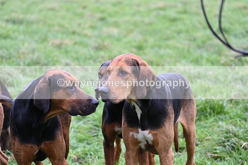 WJ7_4289 - Meet