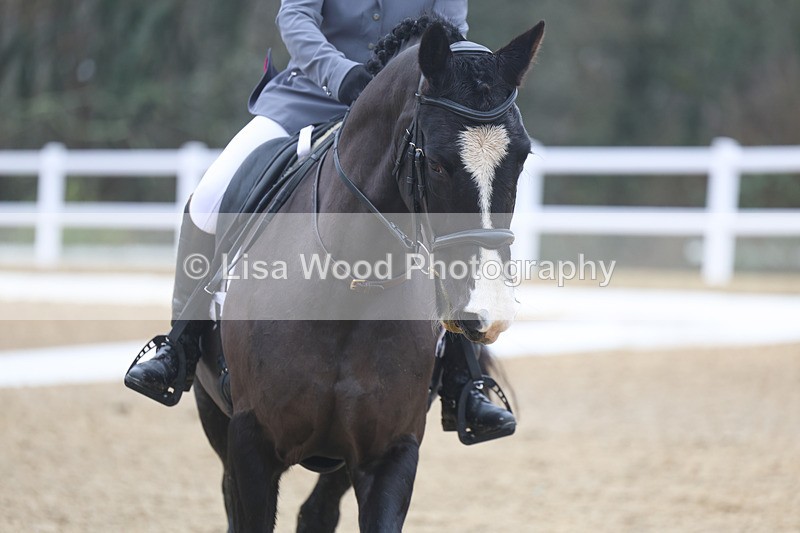 3E7A3524 - Class 2: Intro Section B