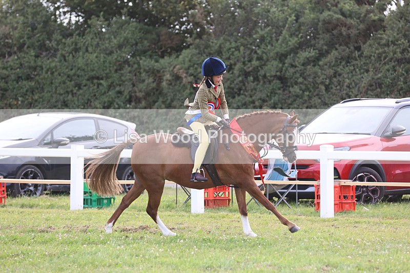 JPP_4824 - Working Hunter Championship