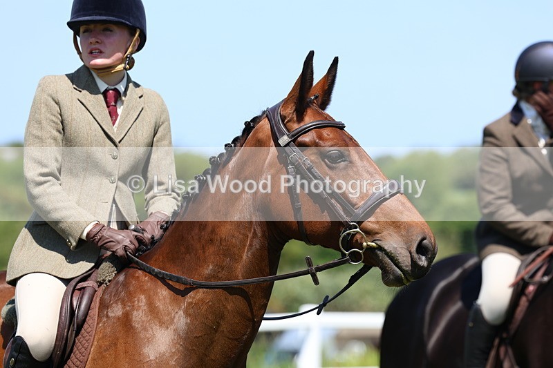 3E7A7355 - Class 30: Novice Working Hunter