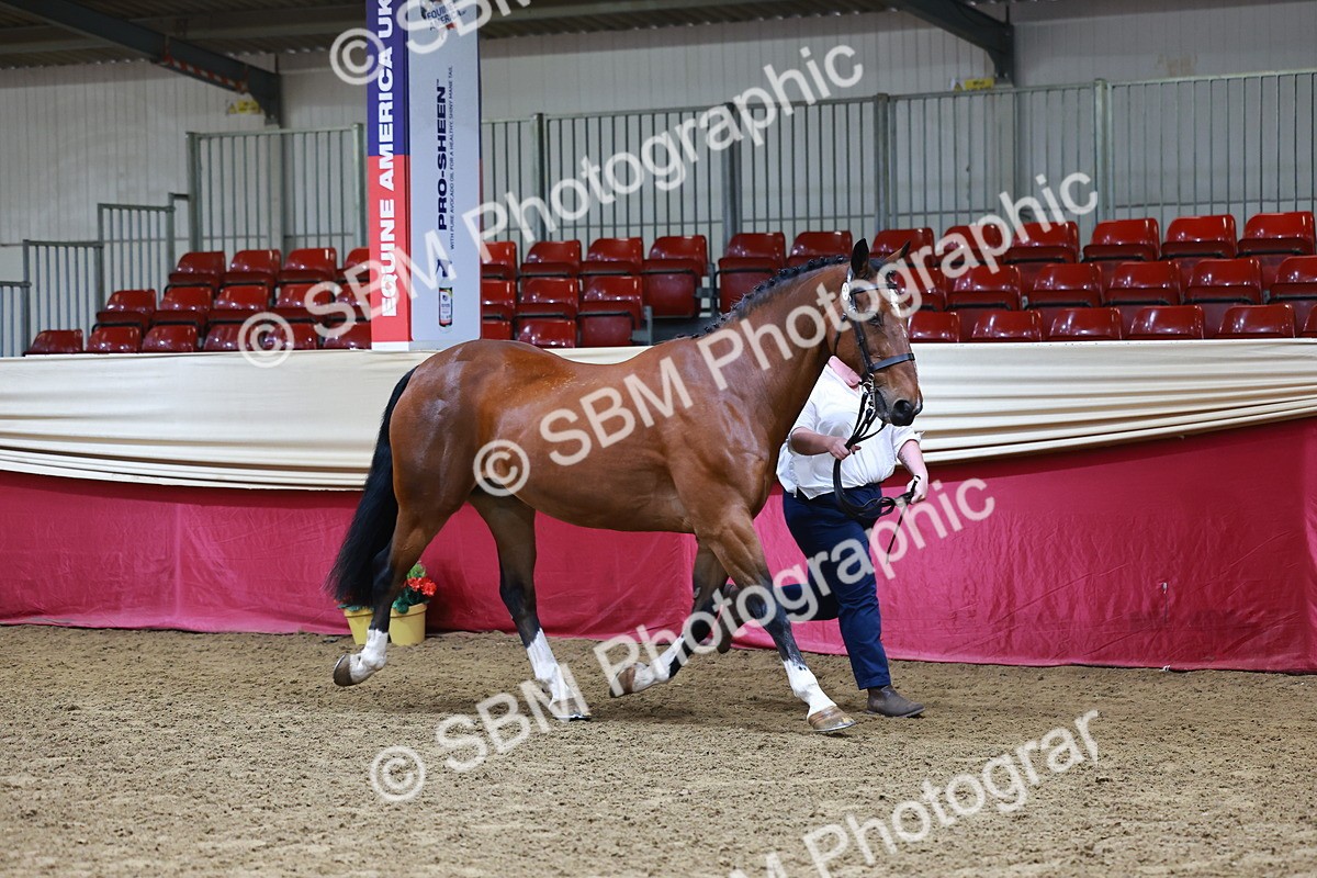 SBM_22155 - Class 902 - Supreme Final - IH Diamond