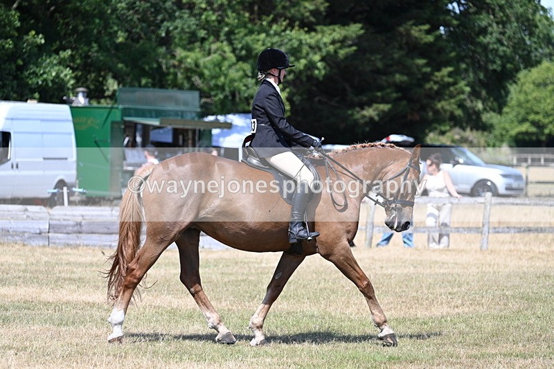 WJ7_3636 - Class 8 Ridden Veterans